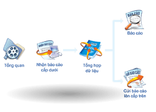 Tổng quan Mimosa x1 4
